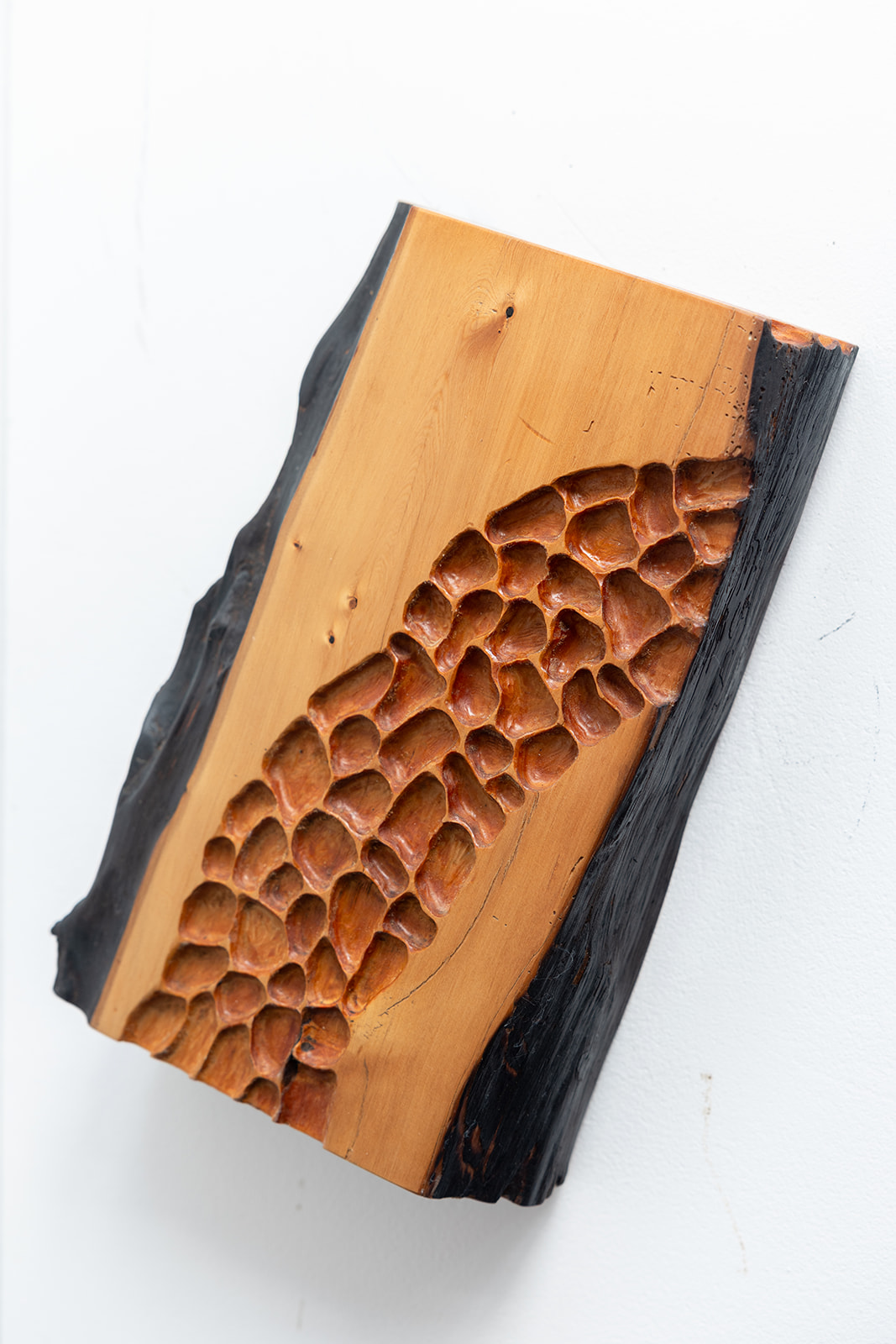 Sandstone by Tony Mitchell