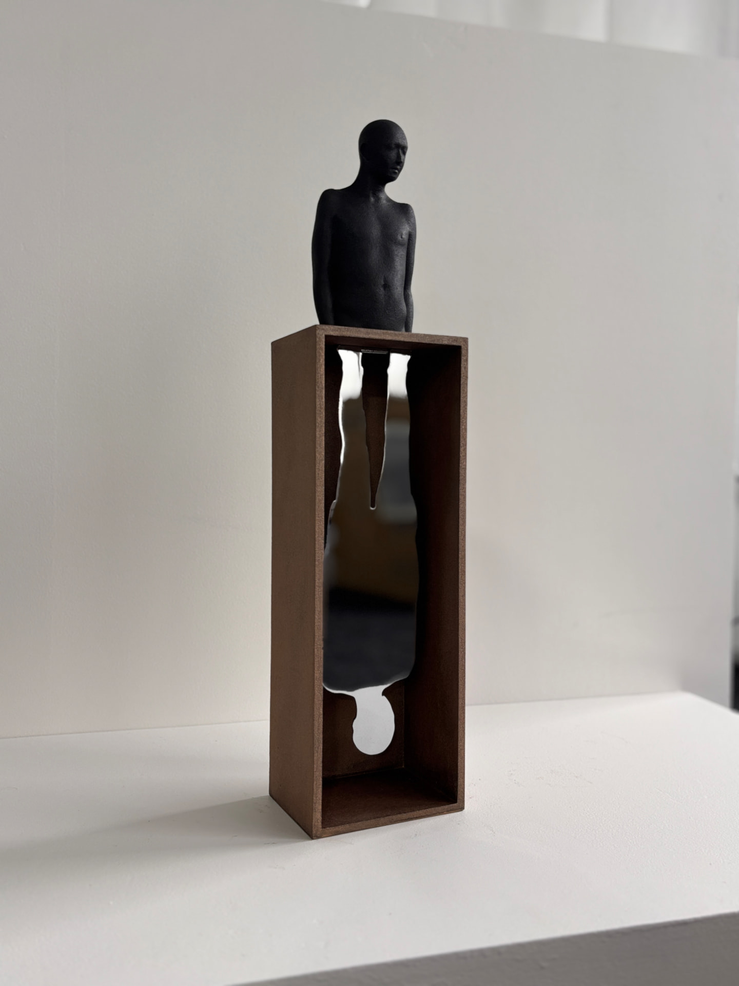 The Unknown Shadow by Dr Peter Tilley