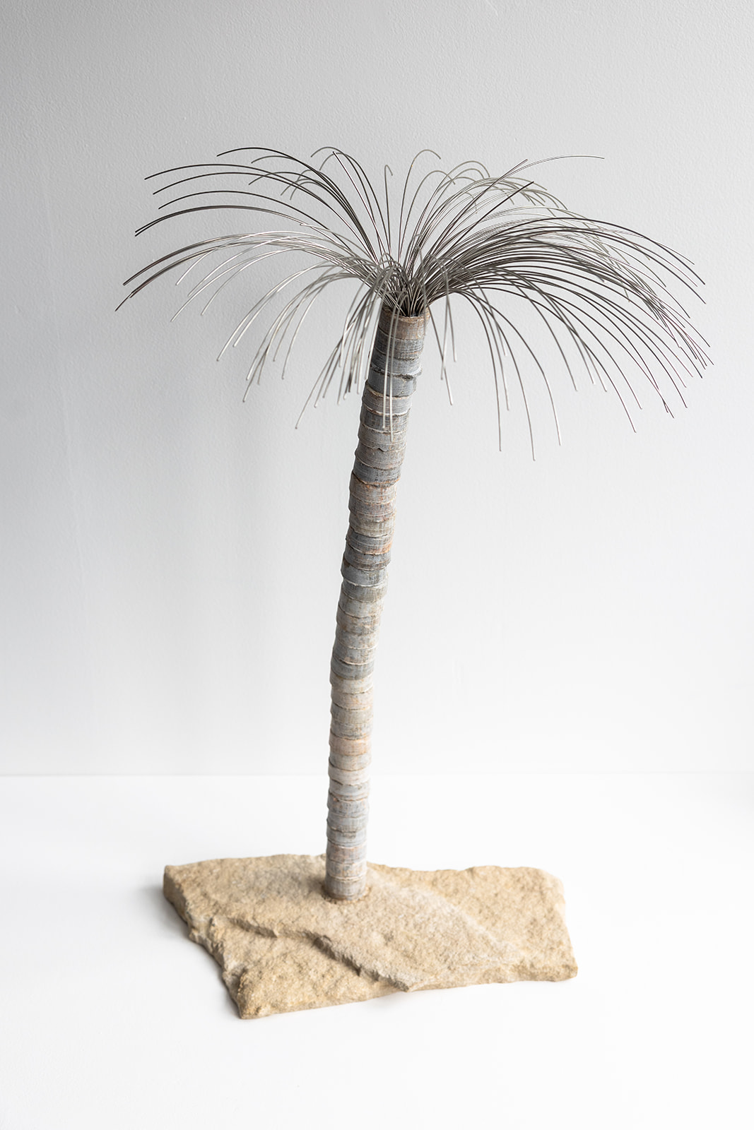 Tree by John Petrie