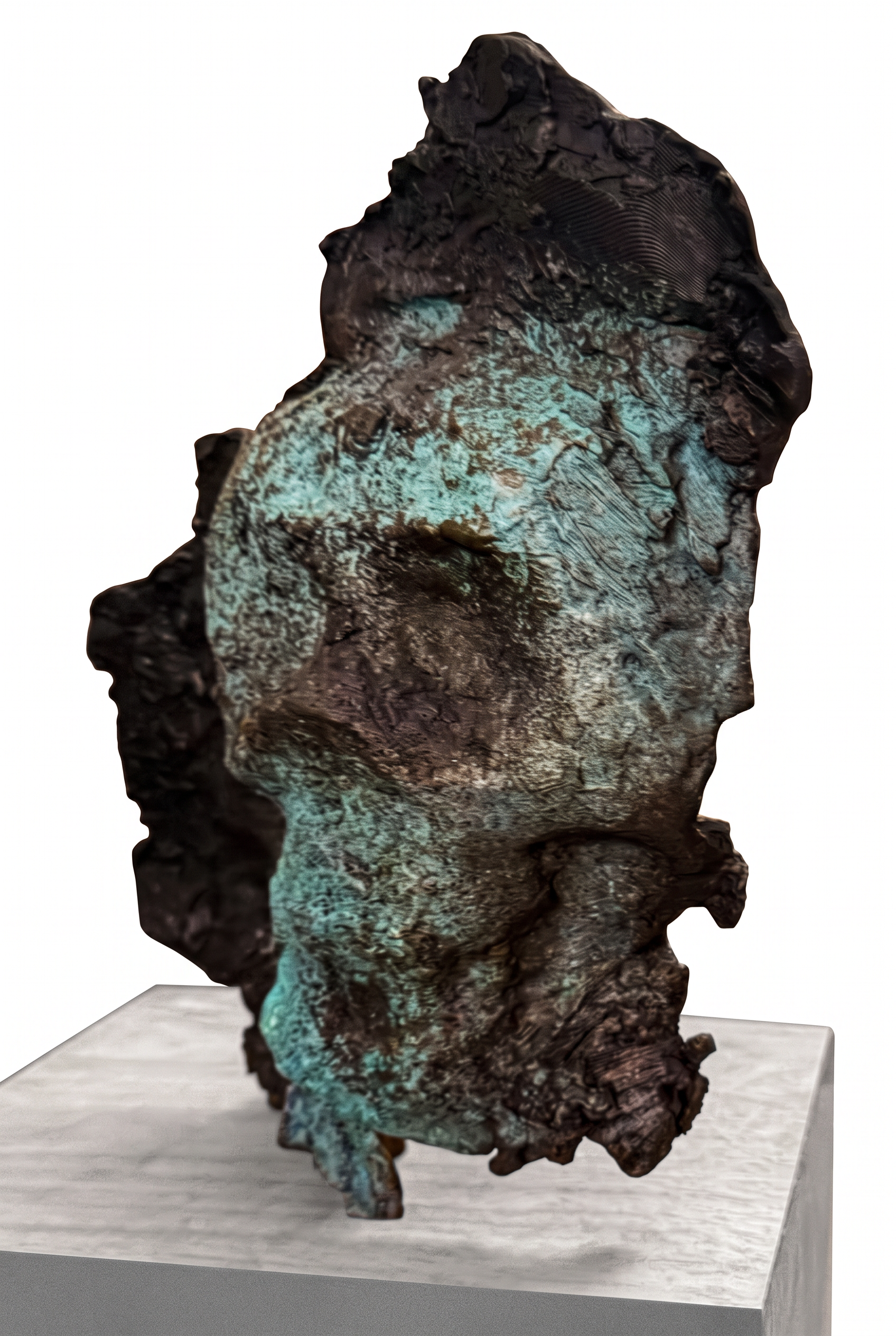 Submerged Sentinel 3 by Sonia Payes