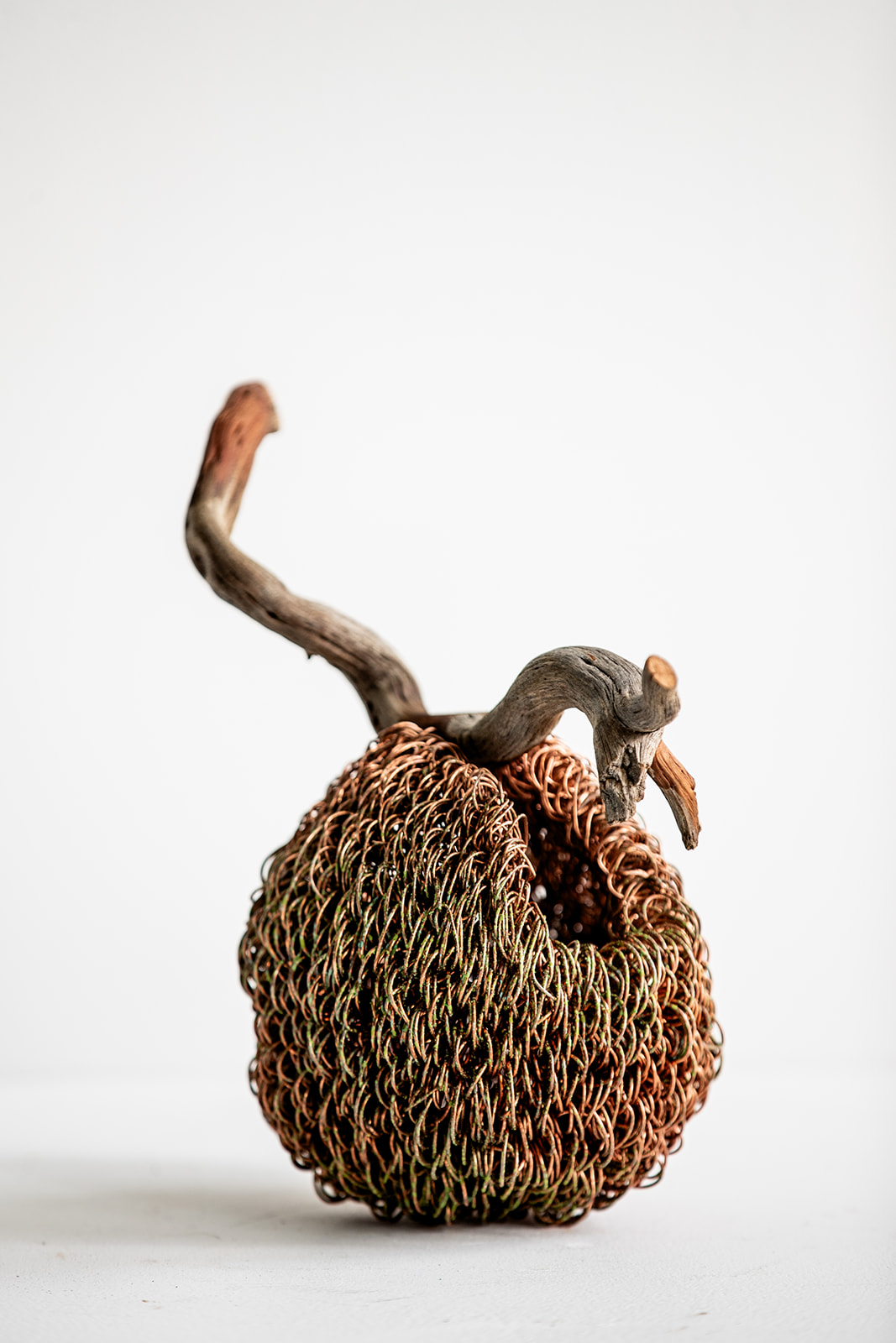 The Mind Can Weave Itself by Dr Bronwyn Berman — photo 1 of 2