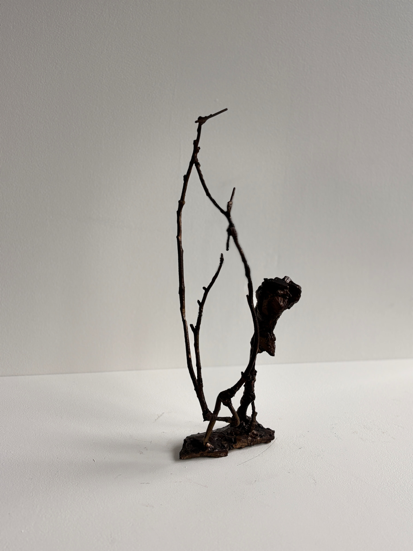 In Dialogue with Another World (2014-24) by Harrie Fasher
