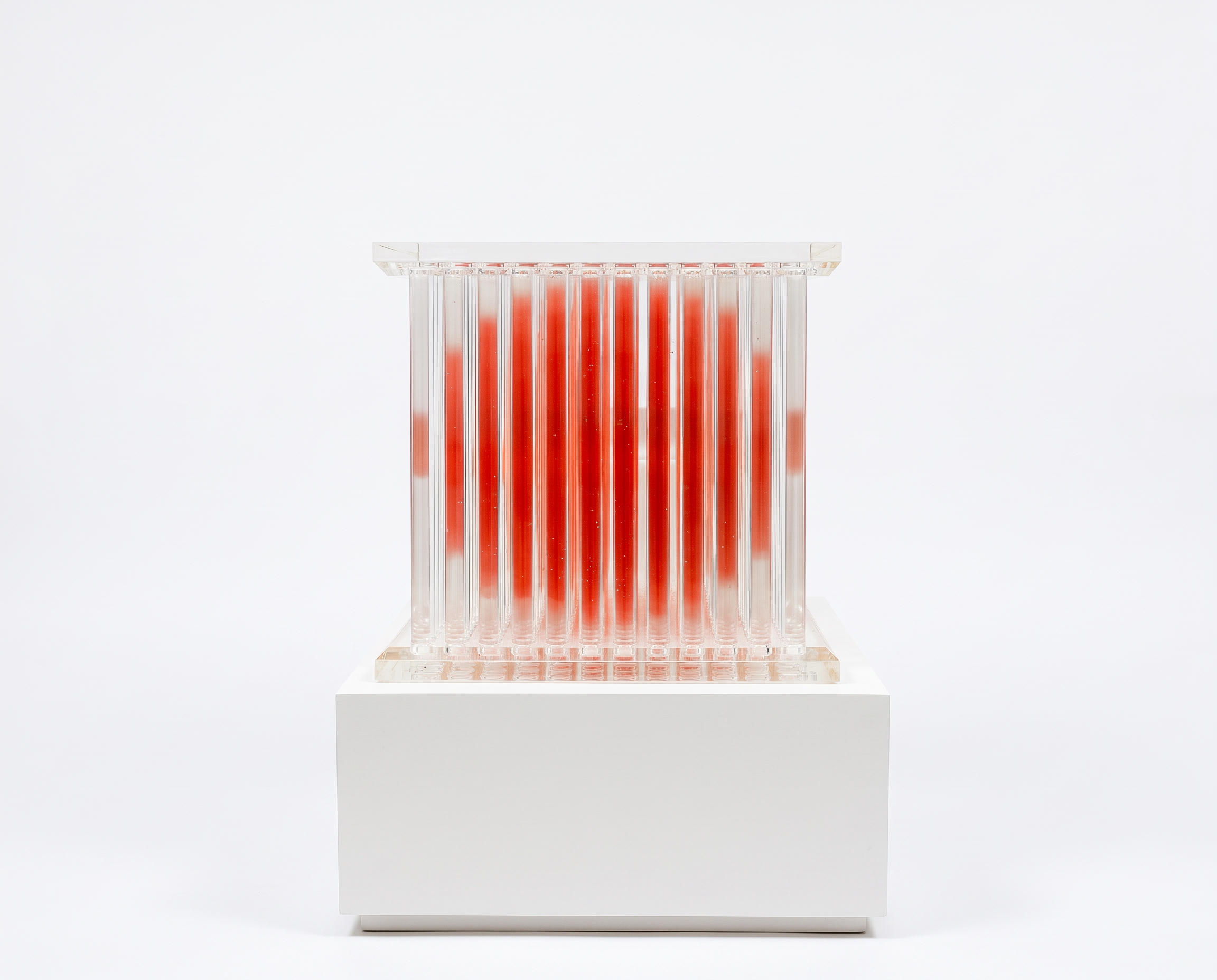 Penumbra (2022) by James Tapscott